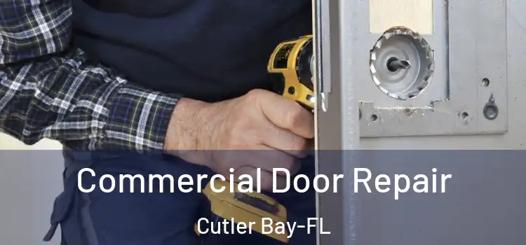 Commercial Door Repair Cutler Bay-FL