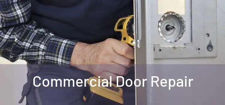 Commercial Door Repair