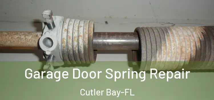 Garage Door Spring Repair Cutler Bay-FL