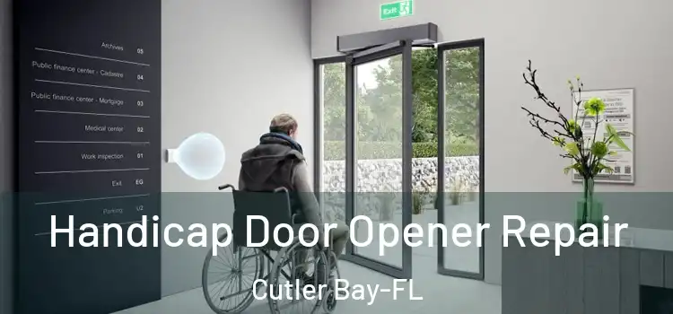  Handicap Door Opener Repair Cutler Bay-FL