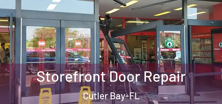 Storefront Door Repair Cutler Bay-FL